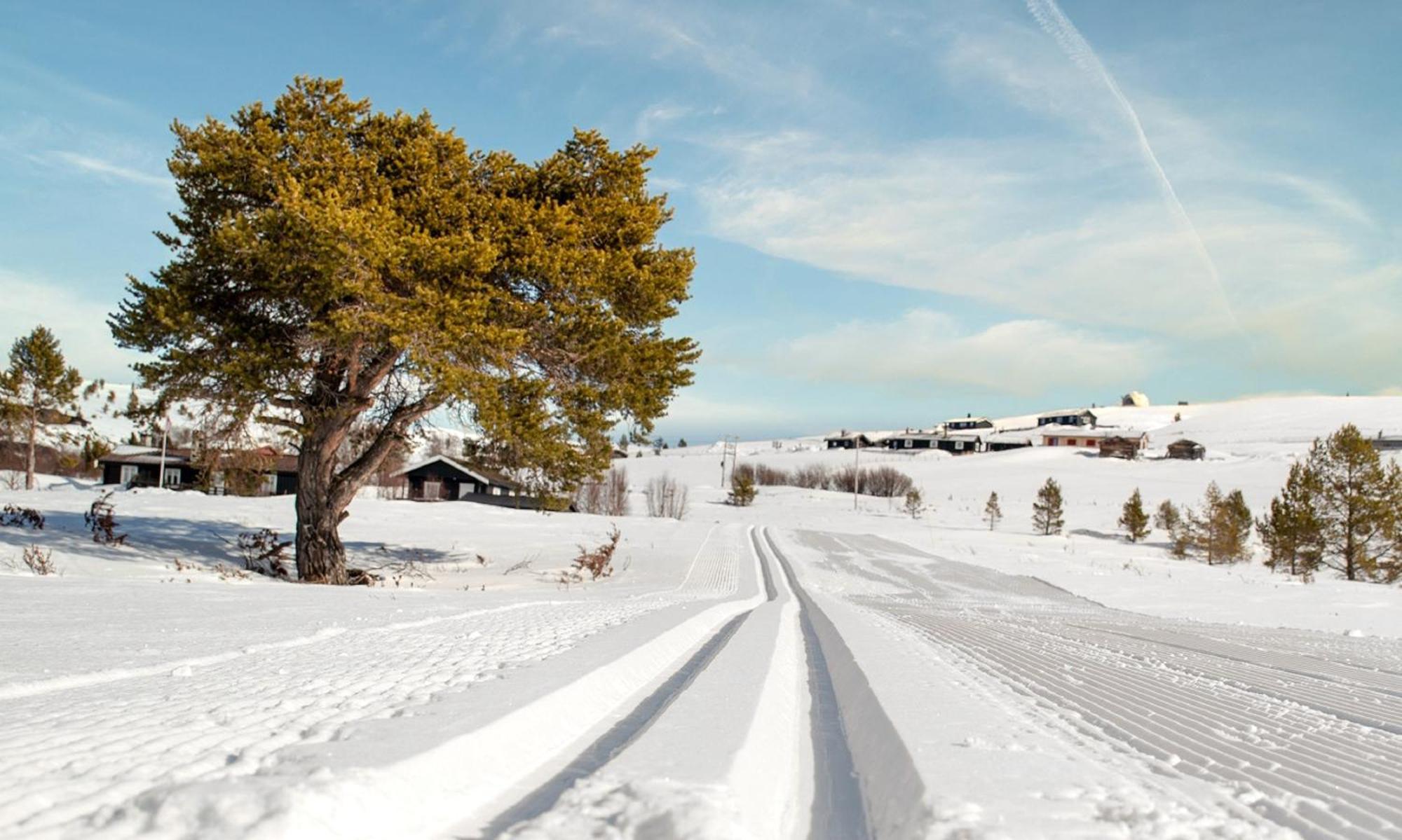 Rondane Haukliseter Fjellhotell Høvringen Dış mekan fotoğraf